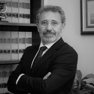 Auditing Firm - Socio Rafael Molero Prieto